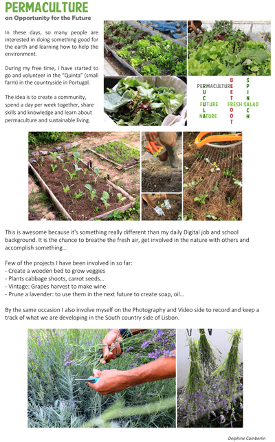 Permaculture Article