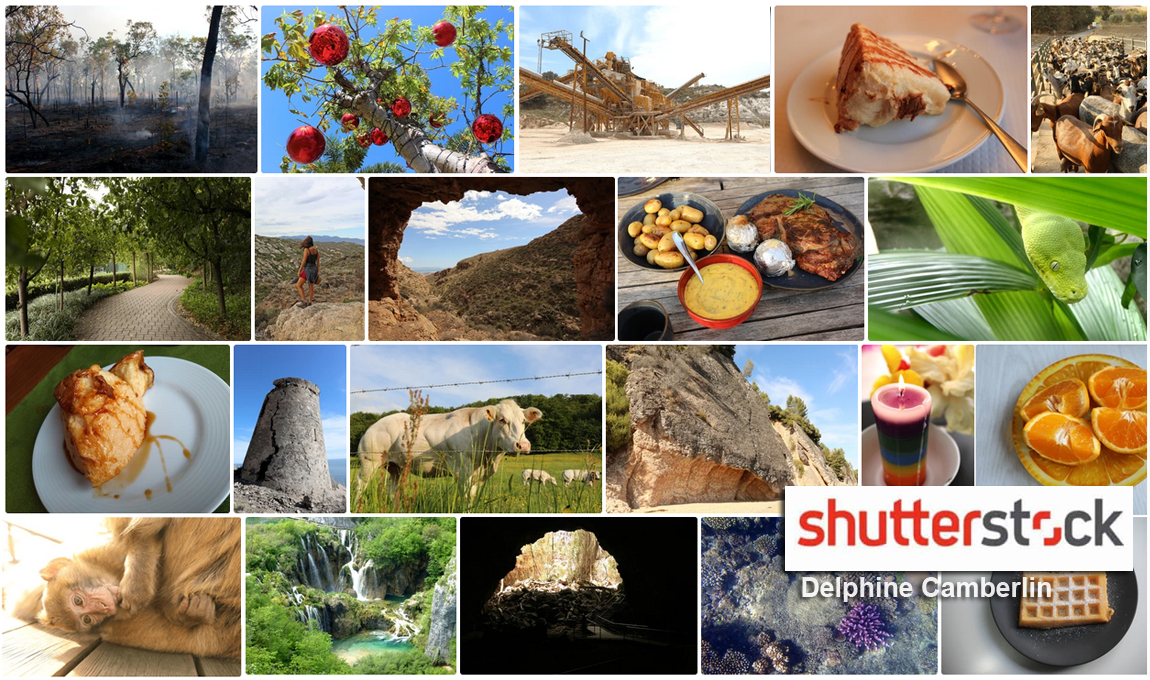Shutterstock